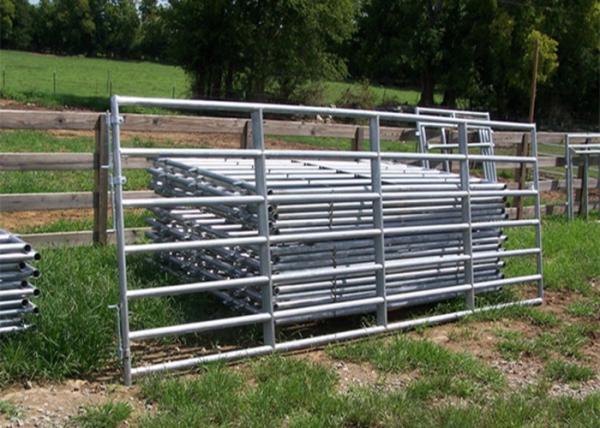 Põe as portas de aço da exploração agrícola do revestimento quadro da tubulação do diâmetro de fio 25NB de 3.0mm - de 5.0mm