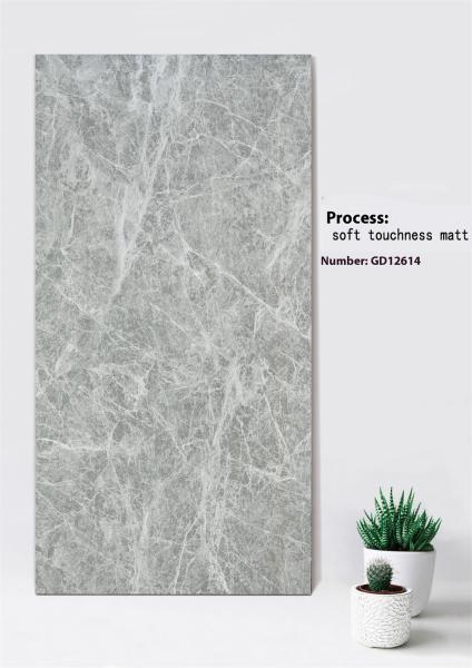 Light Gray Clay Curtain Wall Tile 600x1200mm Soft Touchness Matt