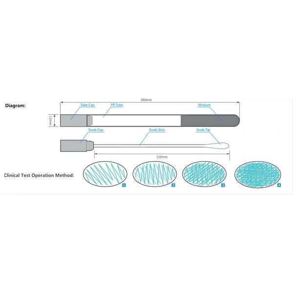 Medical Disposable Sample Collection Stick Flocked Transport Swab With Amies/Stuart/Cary-Blair Medium