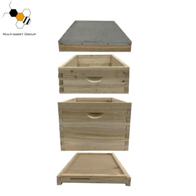 A abelha Unassembled não tóxica encaixota a colmeia de 24mm Dadant