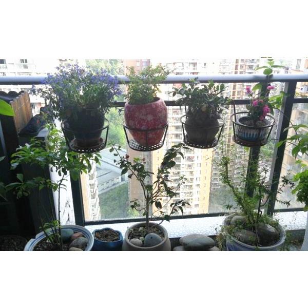 Black Single Tier Metal Flower Pot Stand , 18x22x12cm Single Tier Plant Stand