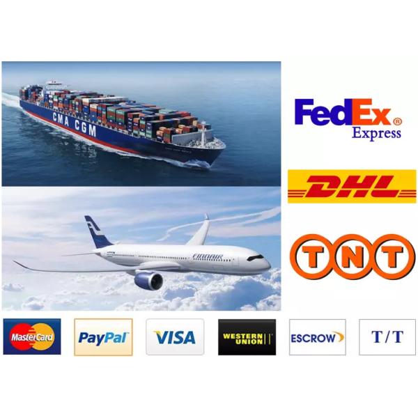 Recipientes de alimento afastado biodegradáveis naturais da polegada 7×5