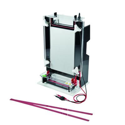 Stable Vertical Gel Electrophoresis Equipment JY-CX1B Nucleic Acid Sequencing