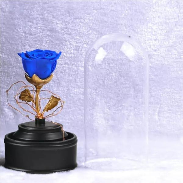 24k gold rose galaxy rose in forbidden glass Preserved Flowers Flower Crafts Preserved roses