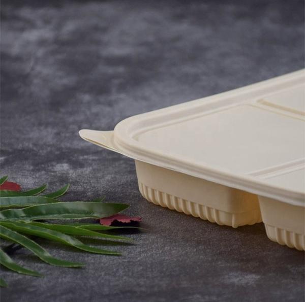 4 Compartimento Caixa de amido de milho descartável Recipiente de alimentos biodegradáveis