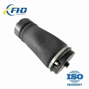 L322 Land Rover Range Rover Rear Airbag Suspension Kit Replacement
