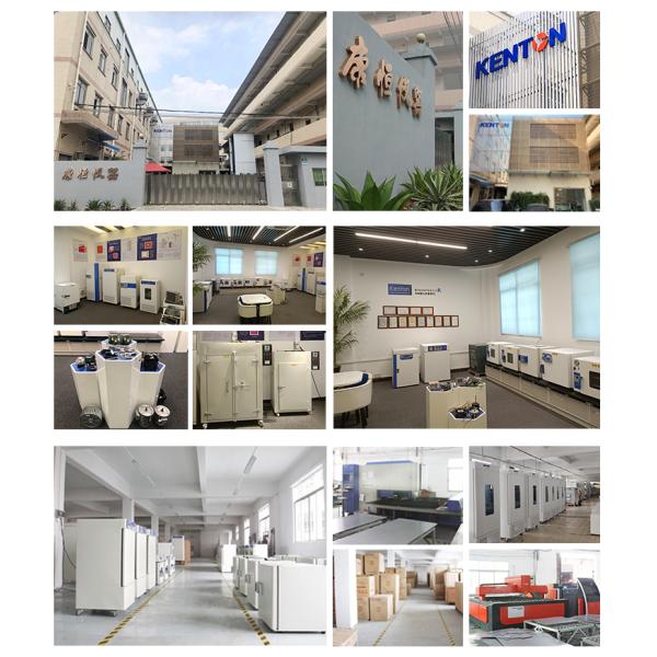 Lab Industrial Vacuum Drying Oven Precise Forced Professional Circulation Hot Air High Temperature Aging