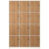 Solid Wood PANEL Employee Locker with Locking Storage Room for Gym Bathroom Dormitory