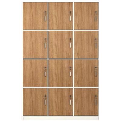 Solid Wood PANEL Employee Locker with Locking Storage Room for Gym Bathroom Dormitory