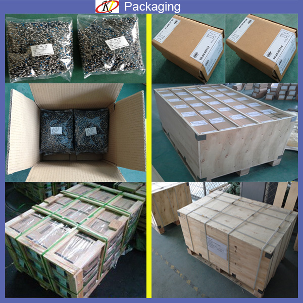 Stainless Steel Square Drive Flat Head Self Tapping Screws