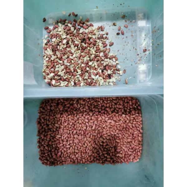 Wenyao Multifunction Peanut Color Sorting Machine CCD Intelligent Nut Color Sorter