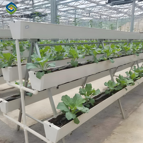 ISO Certification Commercial Hydroponic Greenhouse For Agriculture Anti Corrosion