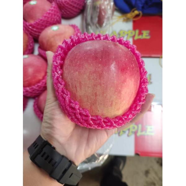 2024 Best Green Fuji Apples Fresh Product with 0.4kg Weight