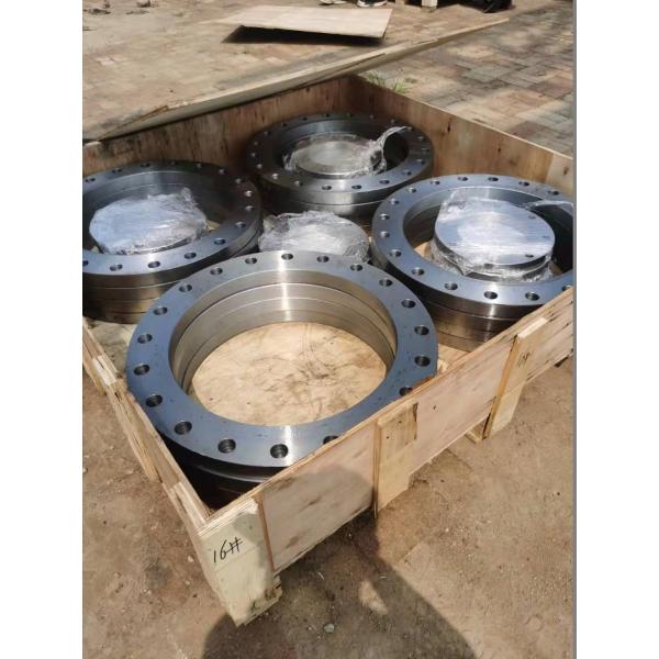 Dn1800 Investment Casting / Forging 316 Stainless Steel Blind Flange