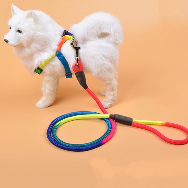 Anti perda da corda de nylon da tração do animal de estimação para o cão pequeno Teddy Cat Travel