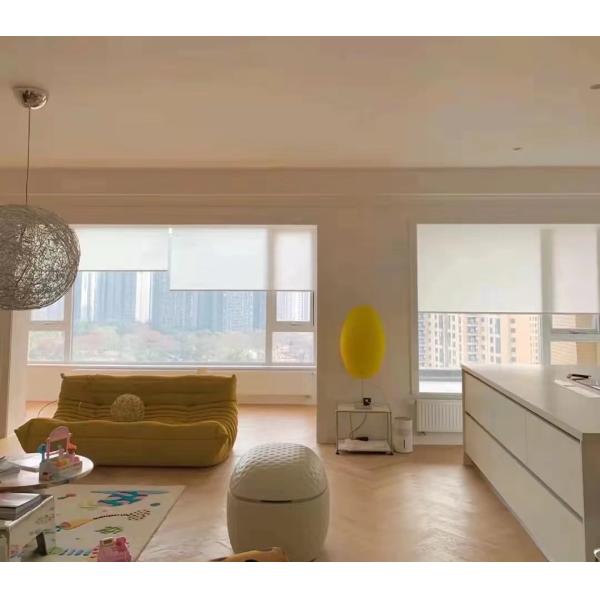 French Window PVC Coated White Polyester Sunscreen Fabrics ASTM G21