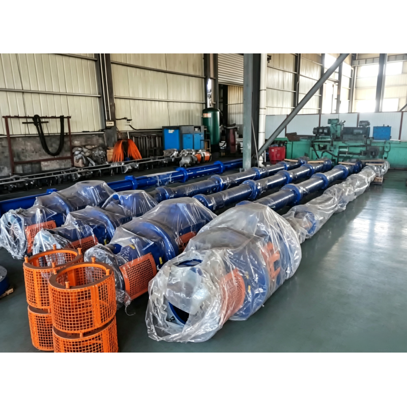 Customized Power Plant Equipment Corrosion Resistant High Temperature Resistant Vertical Long Shaft Pump