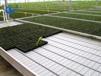 Bancs roulants en serre Table de culture pour les plants de tomates semis Système d'irrigation par écoulement