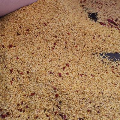 Chinês longo Chili Peppers High In Vitamin secado C - ingredientes naturais