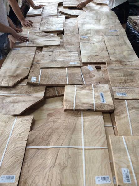 Olive Ash Burl Natural Wood Veneer for Panel Door and Furniture Industry from www.shunfang-veneer-com.ecer.com