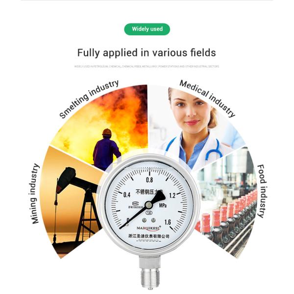 1/4 Thread 304ss 100mm Industrial Air Pressure Gauge for Water Gas 1600bar Range