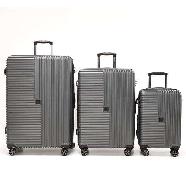 Classical Business Stylish Hardside Spinner Luggage Hard Shell Luggage Sets 20/24/28