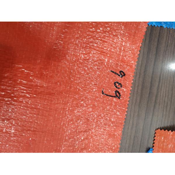 Tear Resistant PE Tarpaulin Sheet Customized Color / Size Accepted