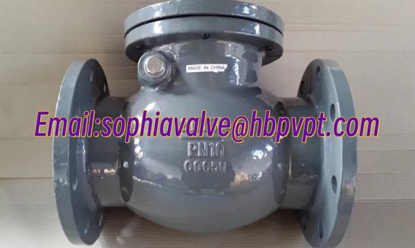 Design standard DIN GG25 metal seal cast iron check valve