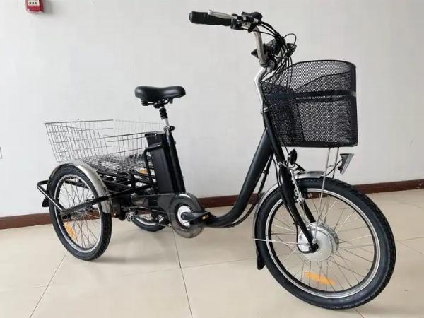 36V 250W 350W Adult Folding Electric Trike 20 Inch Electric 3 Wheel Cargo Bike