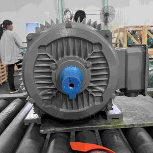 High Efficiency Electric Motor