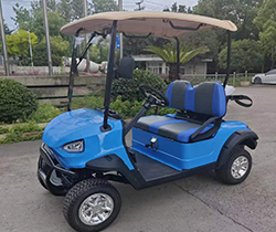 1-2 Seats DOT Electric Golf Carts with DOT Certification and Front LED Headlight