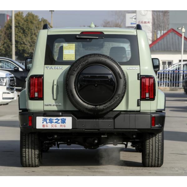2023 Tank300 2.0T City Model Must Version Compact SUV 5