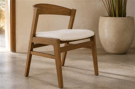 Curved Wood Back Dining Chair CYC-028