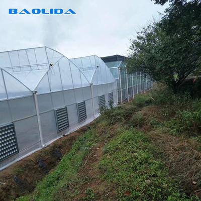 Estufa reforçada da cobertura plástica para o clima tropical pré-fabricada