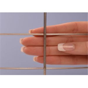 ステンレス鋼304 50x50mmの4mm溶接された金網