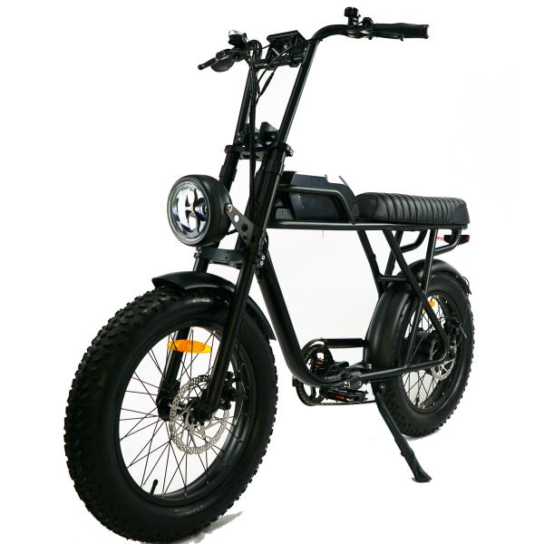 73 eBike Fat Tire Electric Bike E Bicycle with Range per Power 31 60 km and Disc Brake
