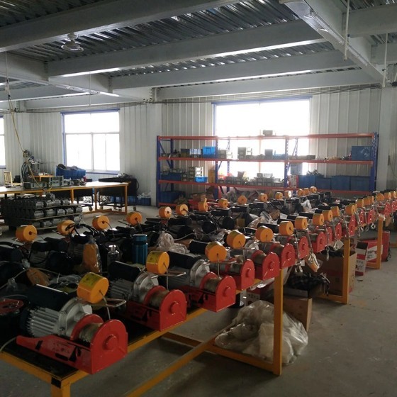 Mini 500kg/1000kg Portable Electric Wire Rope Hoist New Condition Remote Control