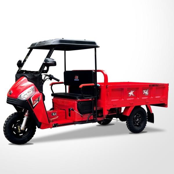 DAYANG Tricycles à cadre épais Trois roues Adultes Mini-camion Cargo Tricycle Trike de livraison