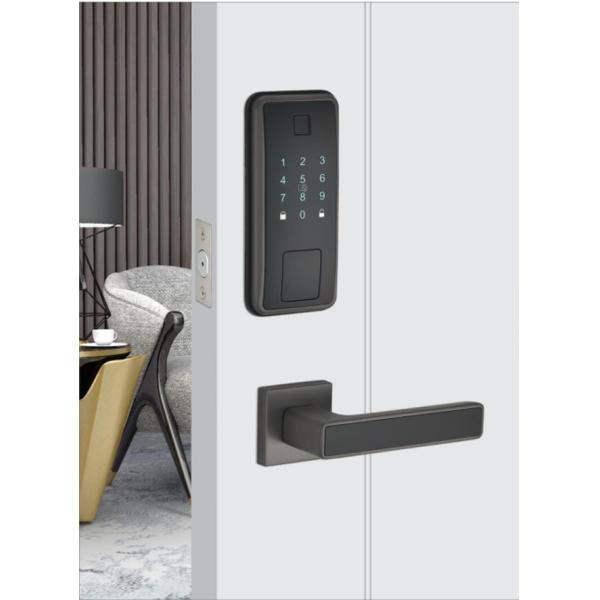 Умный дом водонепроницаемый электрический замок с APP-контролем WIFI Gate Door Fingerprint Smart