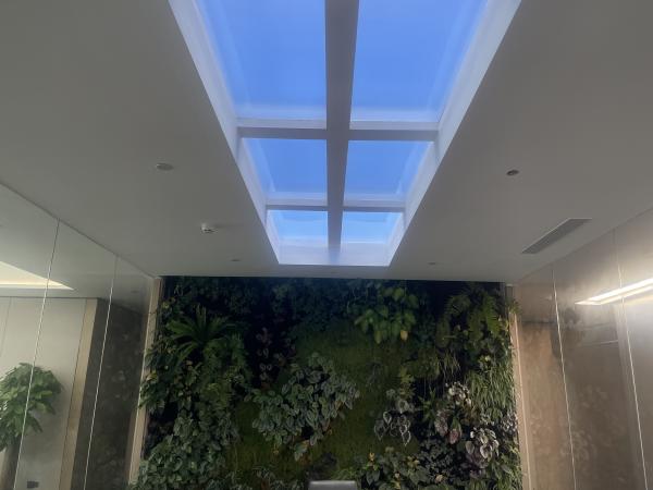 AC100-240V Power Supply Bright Outdoor LED Lights The Ultimate Lighting Solution for Any Outdoor Space