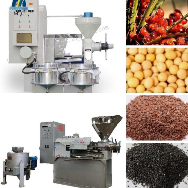 220V Mustard Seed Vegetable Oil Seeds Spiral Oil Press in Small Size with US Currency