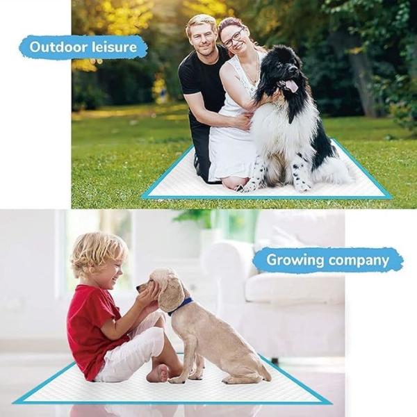 Value Pack Pet Training Pads 56*56cm Fast Drying Leak-Proof Mats for Small Animals