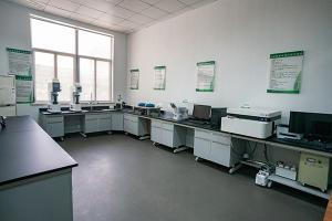 Y&X Beijing Technology Co., Ltd.