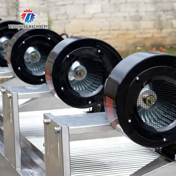 350KG 380V Vegetable drain air drying machine complete set of equipment for fruit and vegetable air drying parallel air