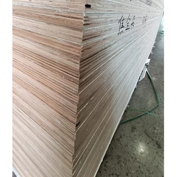 Panel hardwood core 12mm 15mm 18mm laminated furniture plywood