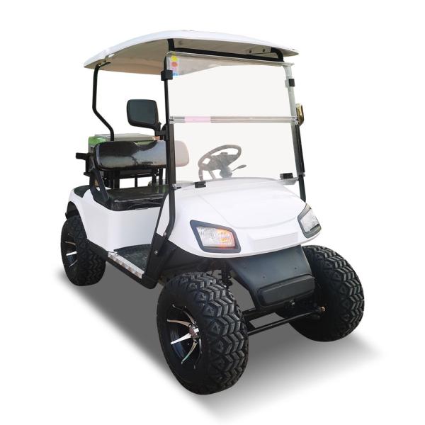 ODM All Terrain 2 Seater 4x4 Golf Buggy Cart Color