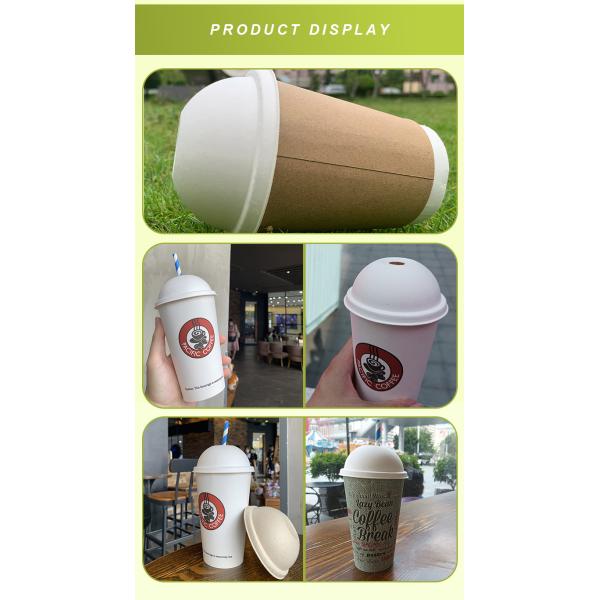 Bio Sugarcane Bagasse Cups