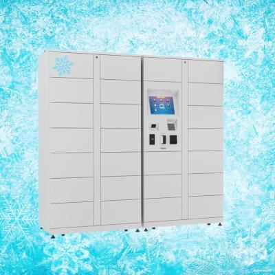 Winnsen refrigerou o fruto esperto do cacifo do alimento personalizado