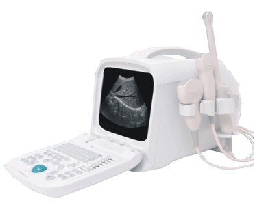 Digital Diagnostic Ultrasound System For Human And Veterinary