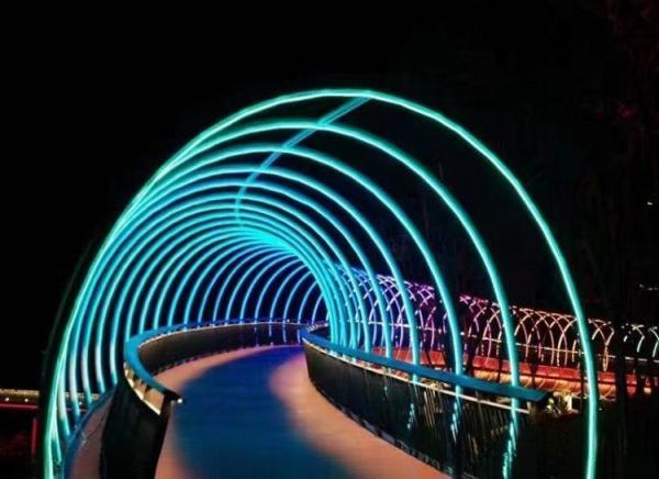 Decorative Background indoor flexible led strip Light rgb white warm blue color 5V 12v 24V  5M  Luminous cob led strip light